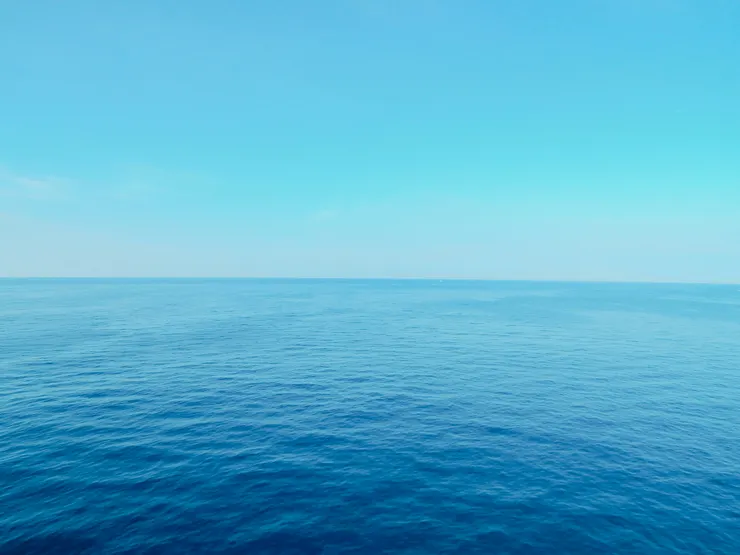 Photo by Sarah Brown on Unsplash