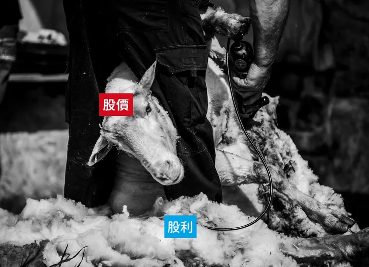 「股利」和「股價」，好比羊毛出在羊身上