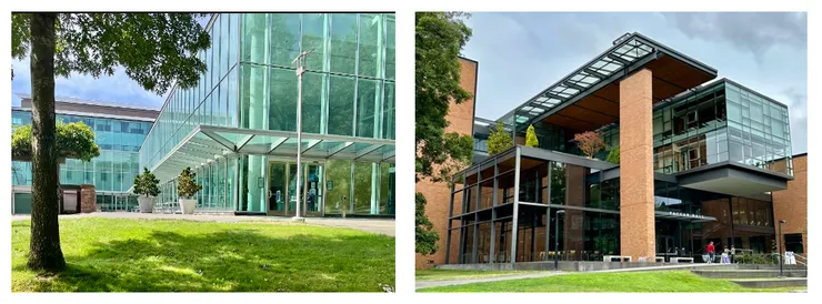 這兩棟建築都是以玻璃帷幕為主體的設計風格,在陽光的照耀下,顯得熠熠生輝。(圖 by Vina)