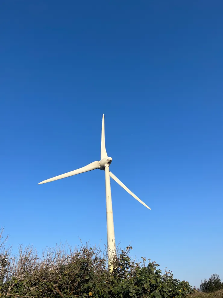 我有停下來才拍照喔