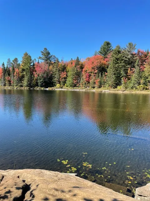 加國著名賞楓景點：Algonquin Provincial Park