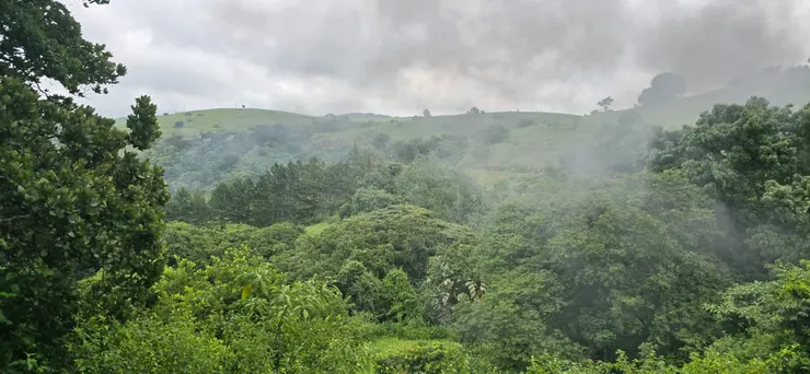 火車製造出的黑煙