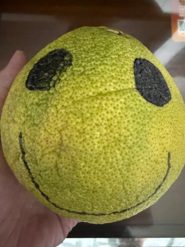 2025/09/29 柚子笑臉