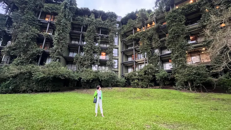 飯店一樓大草坪晨光時間