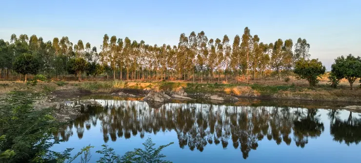 在桔井省 ខេត្តក្រចេះ一個靠近湄公河的山頂手機拍攝