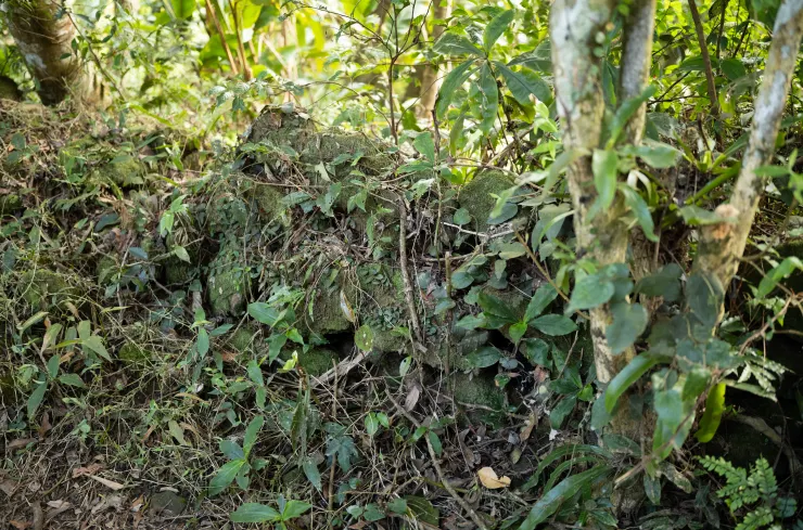 疑似溪洲山隘勇線的分遣所圍牆遺構