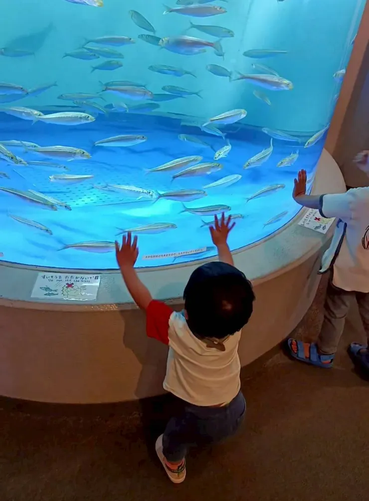 開心的看魚🥰
