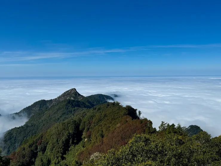 鳶嘴山和稍來步道上的楓紅及無邊無際的雲海！