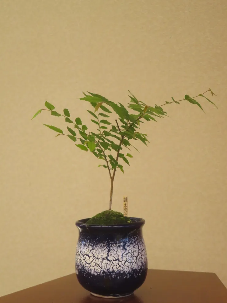 中山社大113.01.04