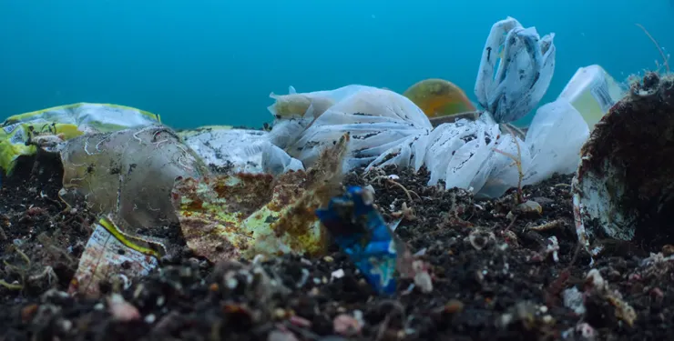 印度洋海底垃圾。《我們的海洋》影片截圖