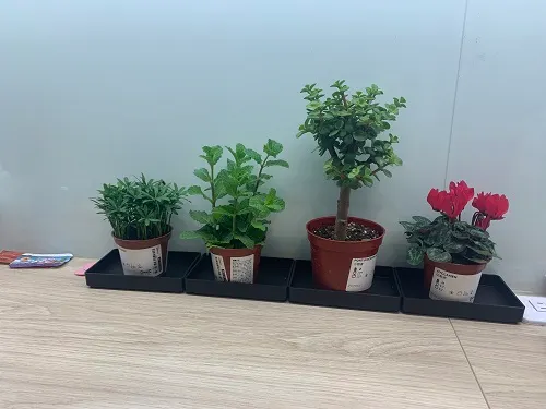 最後,為我們辛苦的職重專業人員們共同乾一杯:)