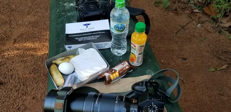 今天的早餐很豐富啊