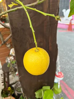 時間既然不存在,那代表過去現在與未來都是同時在發生的。如果是這樣的話,以拍攝影片的角度看來,就不能拍成一段一段的影片,放在各個資料夾裡。而是像是許多超巨大的遊戲伺服器那樣,各種時代的自己都同時在玩線上遊戲,也都持續經歷著自己的冒險,沒有停止下來的時候。