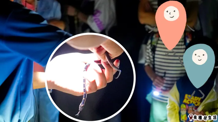 老師路邊遇見紅斑蛇直接介紹😱