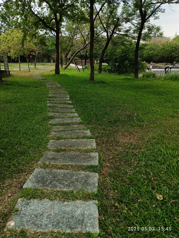 為誰吟懷煙中樹，自拍攝