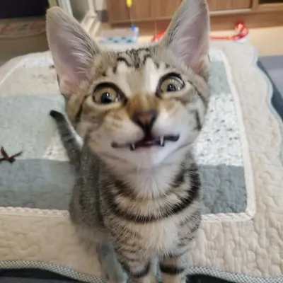 Tiffany0220的沙龍