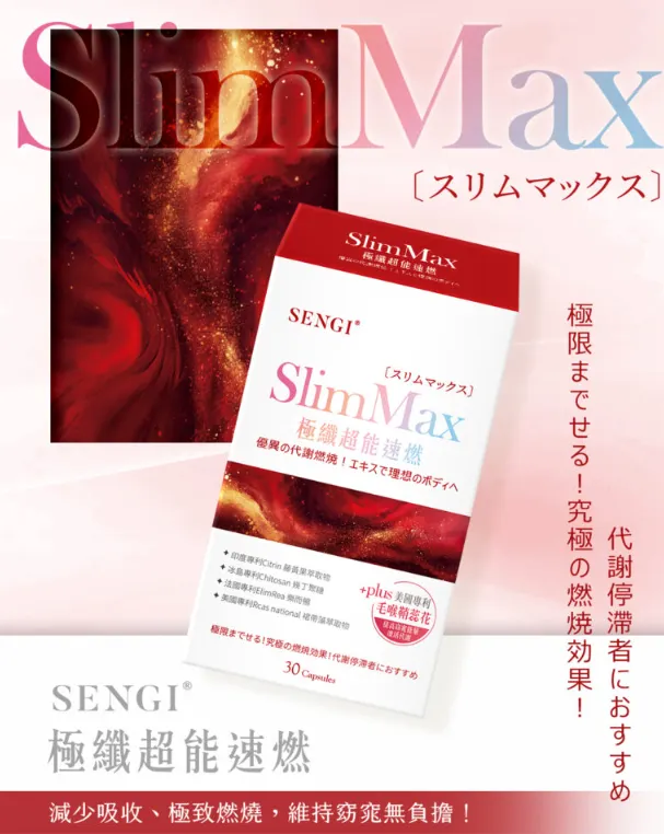 SENGI 極纖超能速燃