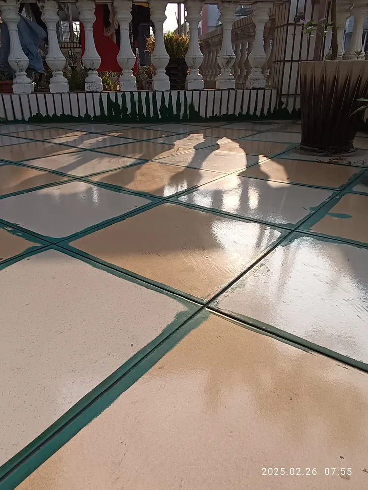 欄干移足台影映，家中自拍攝