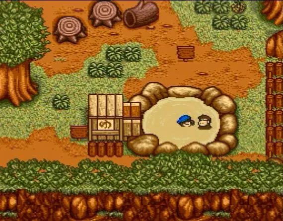 筆者由牧場物語第1代就開始玩了,牧場系列真的陪伴了很久很久~