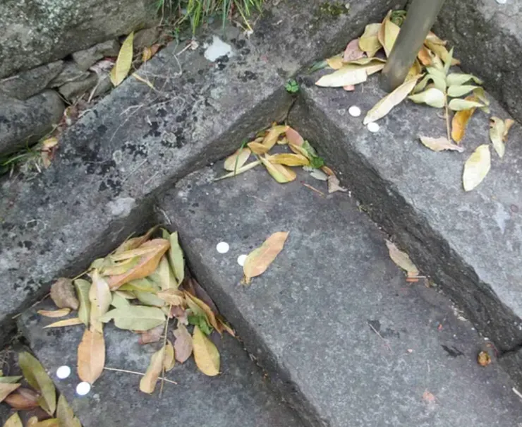 然後接著是每一階2元日幣