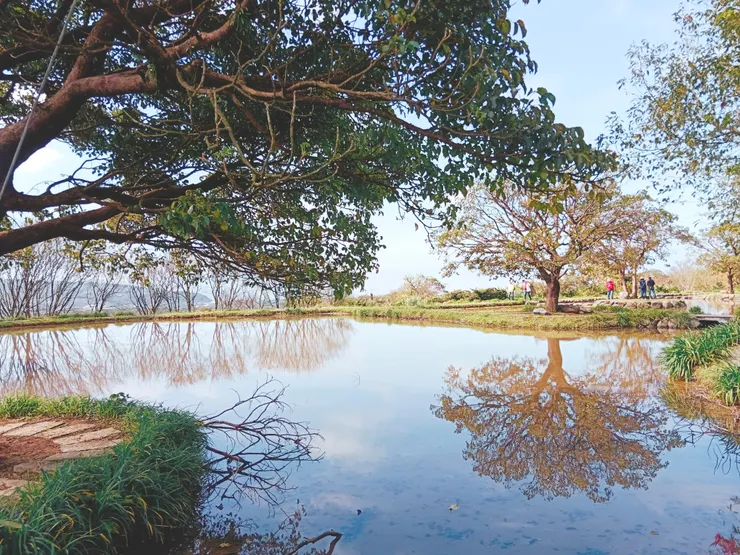 有趣的是,生命總有它奇妙的安排。 照片提供 梵靈乾坤工作室