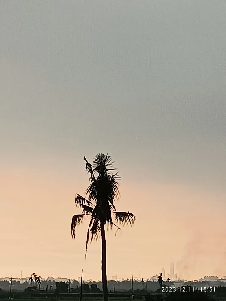 照片遠方高樓是八五，旁有煙雲發，自拍