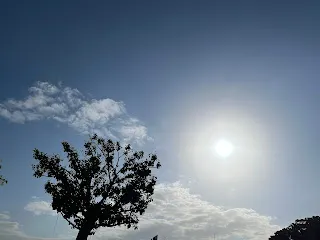 正因知道看短影片會分心，反倒利用此點，將已經昏昏欲睡的大腦注入新的刺激。不過，即使是這樣去做，也只是暫時性的，還是要提高整體的集中力才行，不然施展多次也會漸漸失效。因此，對於看起來很浪費時間的短影片也要保持感恩之情，並非只有用來殺時間的作用而已。