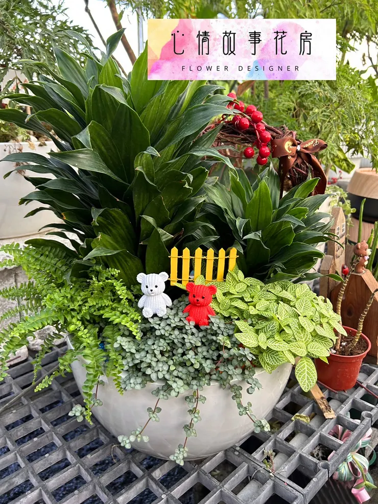 台南安南區花店【心情故事花房】：結合強健植栽的多樣化組合盆栽，為室內環境增添活力、美感與長久持續的健康生長