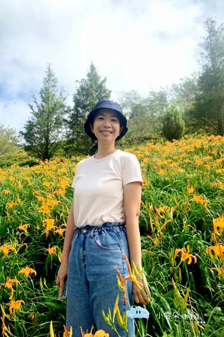 美麗的金針花背景