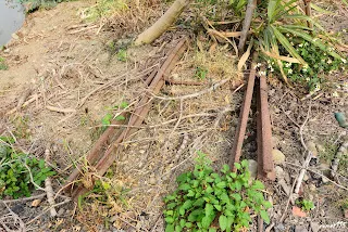 排子路站新港端主、副線會合處