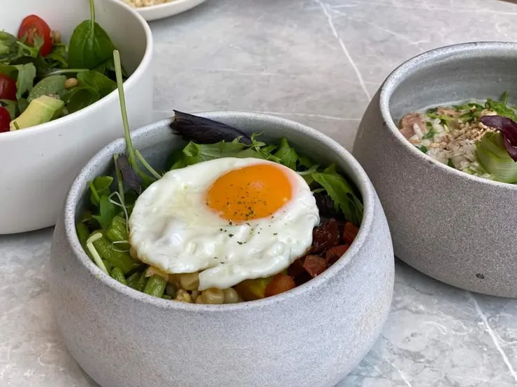 小小樹食的佛陀碗（作者拍攝）。