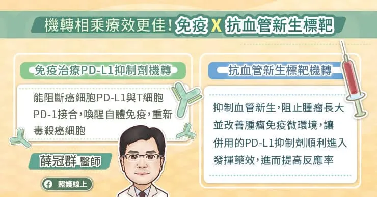 機轉相乘！免疫治療X抗血管新生標靶藥物