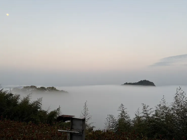 05:55苗栗泰安的雲海