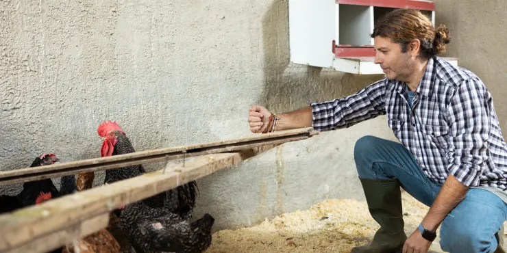 突破畜牧業瓶頸 !提升生產效益的關鍵策略與創新解決方案