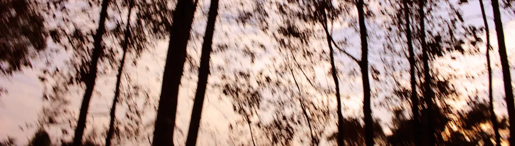 影塵札記的沙龍