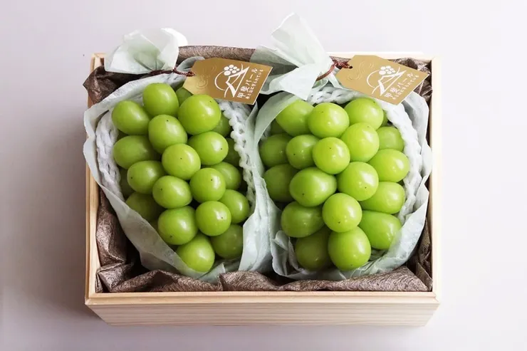 圖說：山梨甲斐珍珠麝香桐木雙房禮盒 (約1.2kg重) NT.4299/盒。(圖/ 旬果屋 Syunkaya)