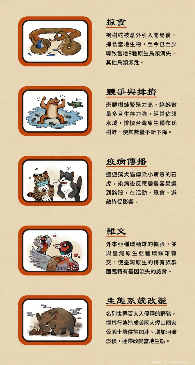 圖片引自「窩窩」—被誤解的動物1