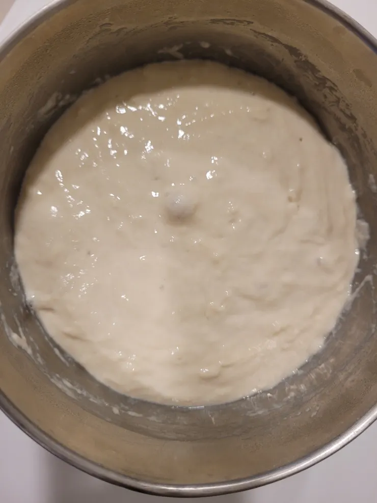 冷藏一晚的液種麵團，有明顯發酵孔洞