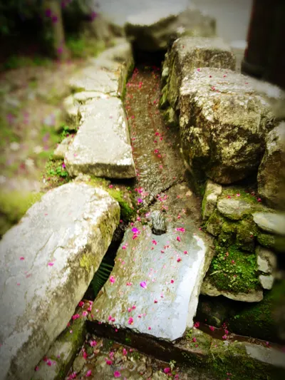 相簿裡最捨不得刪的照片