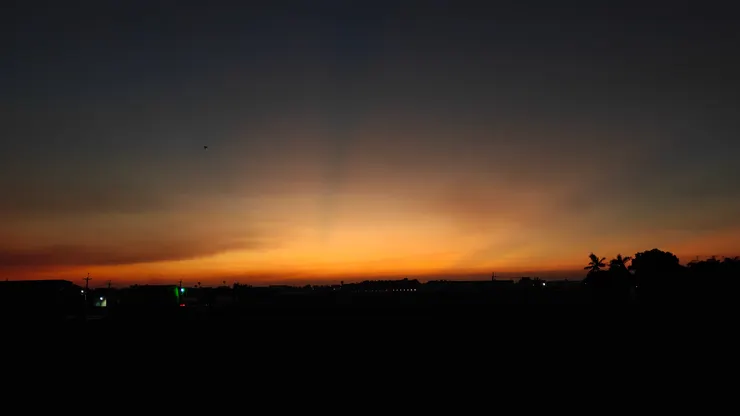 黑點點是 在飛的蝙蝠