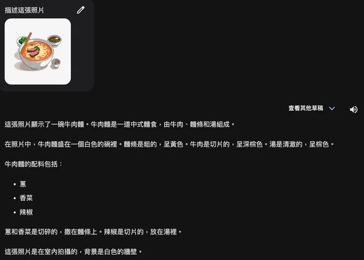 Google Gemini描述向量圖片