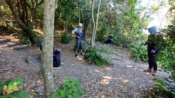 觀音鼻第一個樹林平台（有遮蔭）
