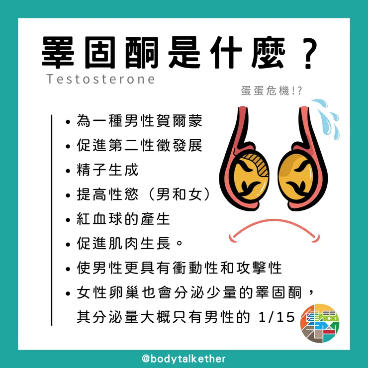 雄性激素睪固酮的介紹