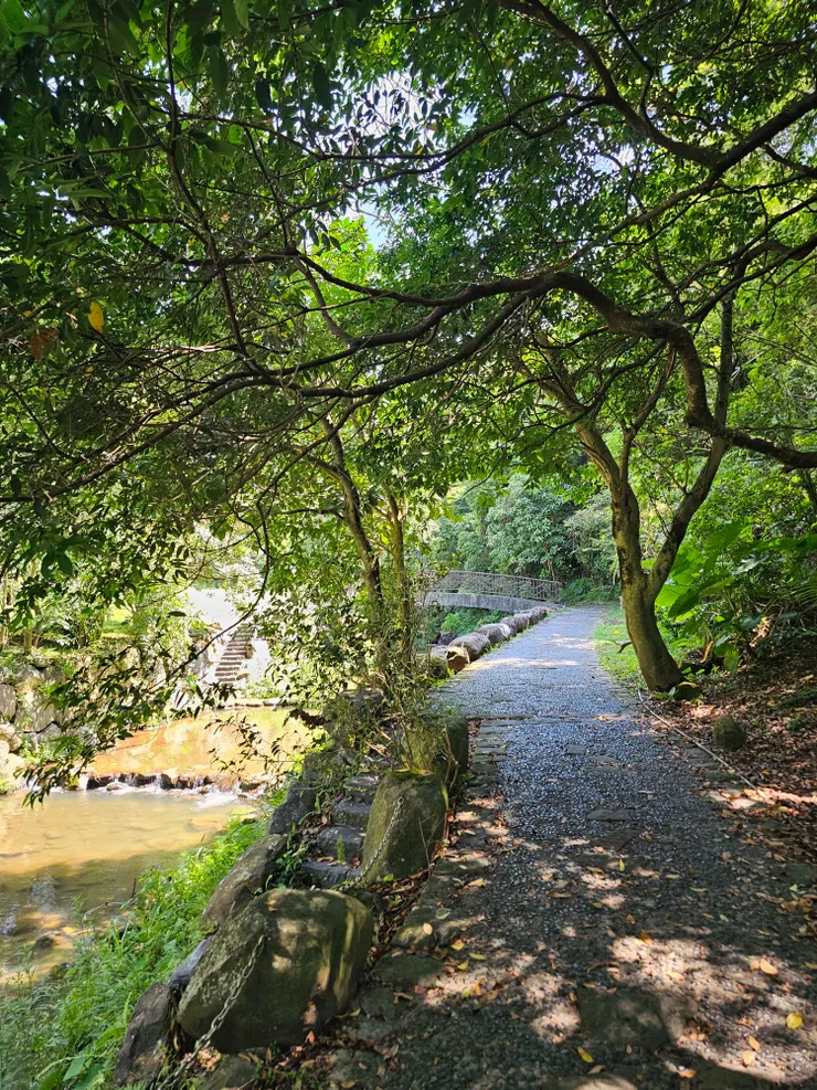 樹蔭抵擋烈日的陽光