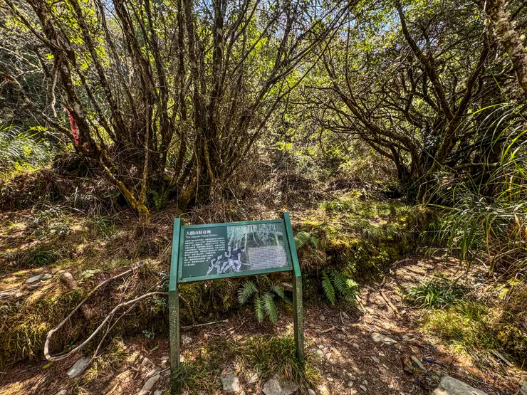 大關山駐在所原址現況和老照片裡差很多，要自己發揮想像力