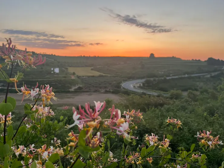 看著日出慢慢升起,我的步伐輕鬆的像小精靈