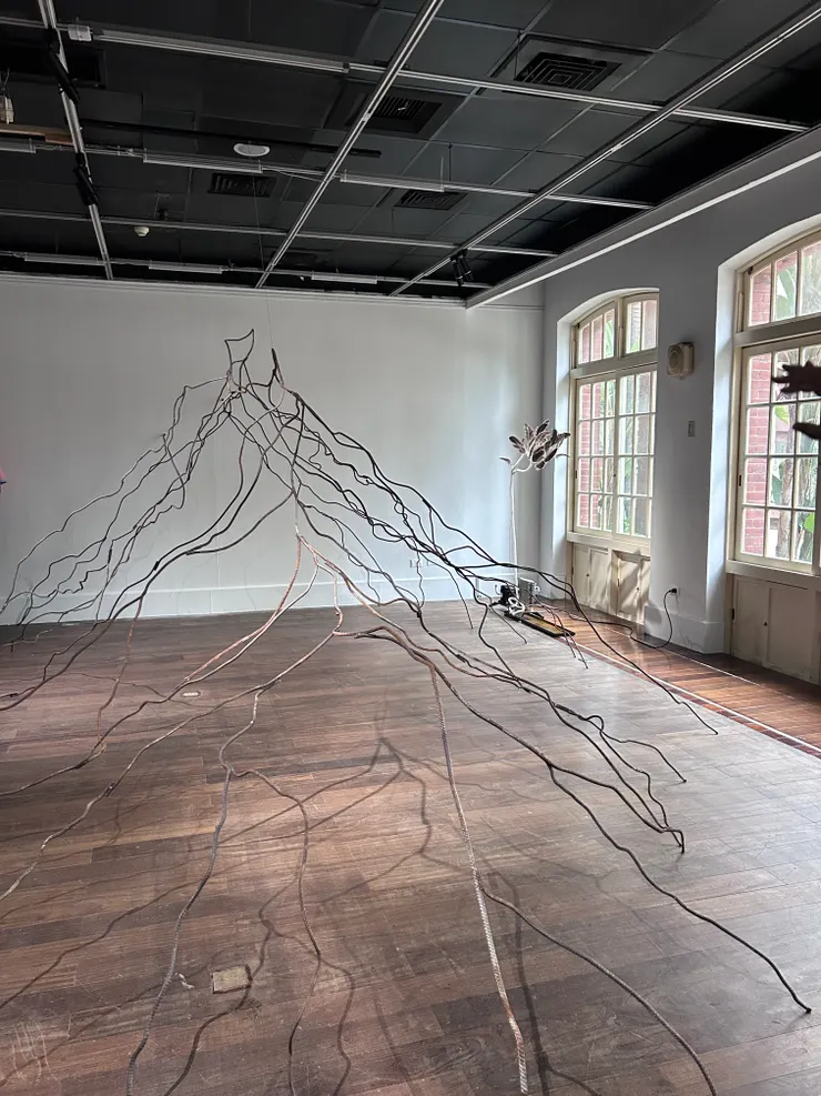 《宇宙寫生》1F展件：〈在屾〉