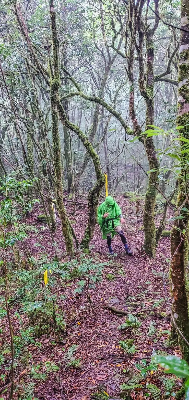 終於雲hold不住雨，下起小雨來了！