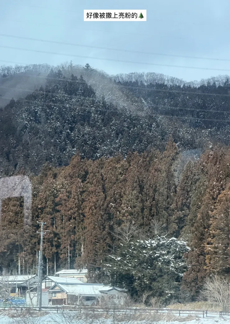 一路上的雪景真的是好美好美❄️