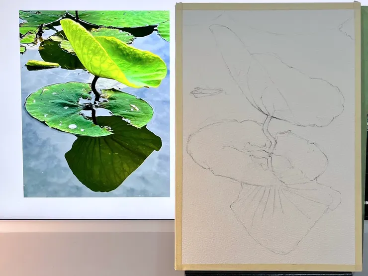 水彩練習W65線稿, 26x18cm, 攝影YH.CC